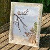 Cadre "Sur la branche"
