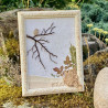 Cadre "Sur la branche"