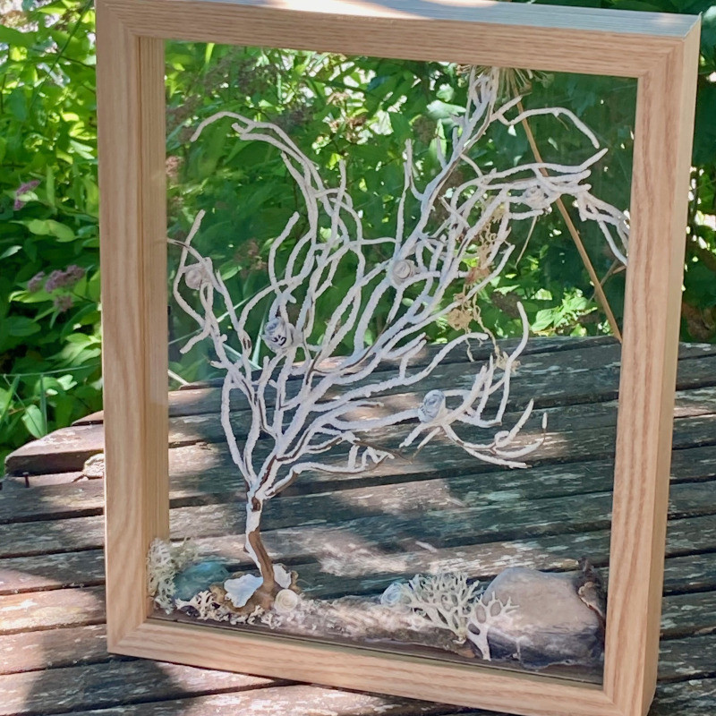 Cadre entre deux verres Corail