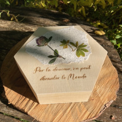 Coffret Douceur