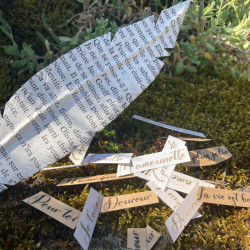 Plumes à message personnalisables