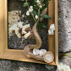 Cadre design fleuri