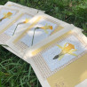 Carte fleurie Jonquille