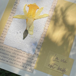 Carte fleurie Jonquille