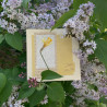 Carte fleurie Jonquille
