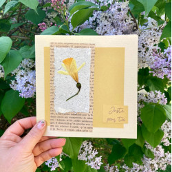 Carte fleurie Jonquille