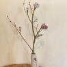 Soliflore "Fleur de cerisier"