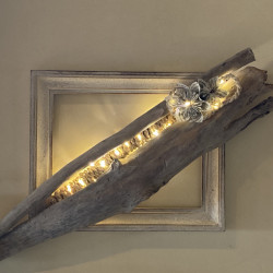 Cadre "Fleurs lumineuses"
