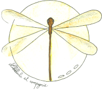 Libellule et Cie